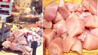 Photo of Chicken Prices: తెలంగాణలో బర్డ్ ఫ్లూ ఎఫెక్ట్ తో.. భారీగా తగ్గిన చికెన్ ధరలు