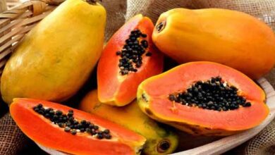 Photo of Papaya: బొప్పాయితో బోలెడు ప్రయోజనాలు.. అవేంటో మీరూ తెలుసుకోండి..